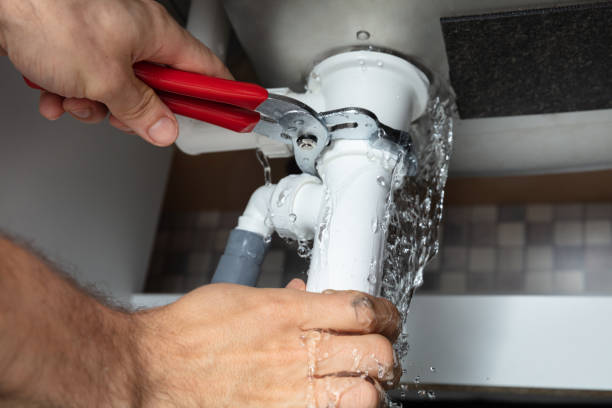 Best Carpet water damage restoration  in Rushford, MN