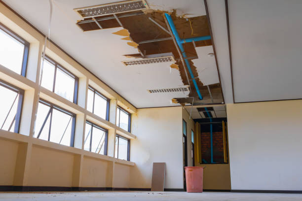 Best Flooded house restoration  in Rushford, MN