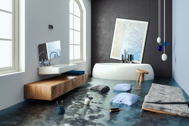 Best Professional water damage repair  in Rushford, MN
