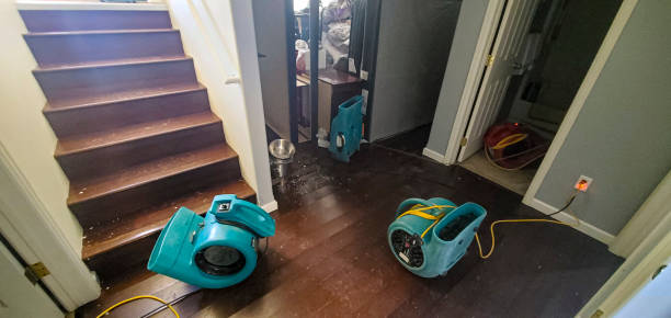 Best 24-hour water damage restoration  in Rushford, MN