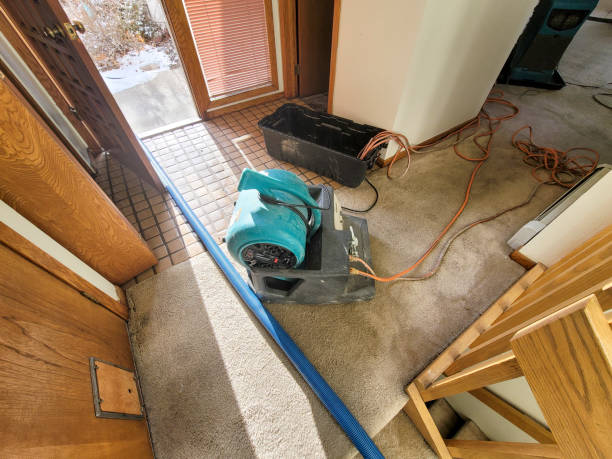 Best Flooded house restoration  in Rushford, MN
