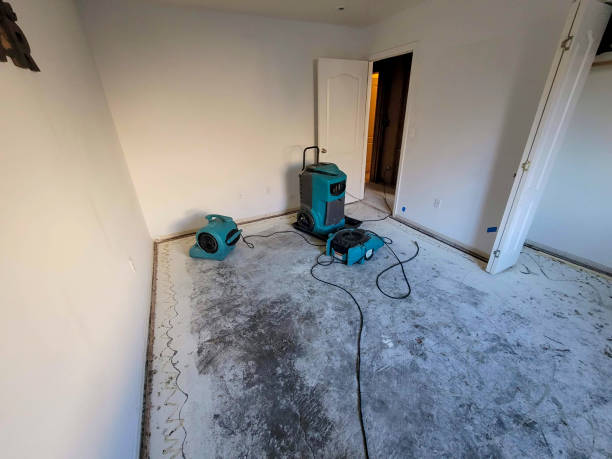 Best Commercial water damage restoration  in Rushford, MN