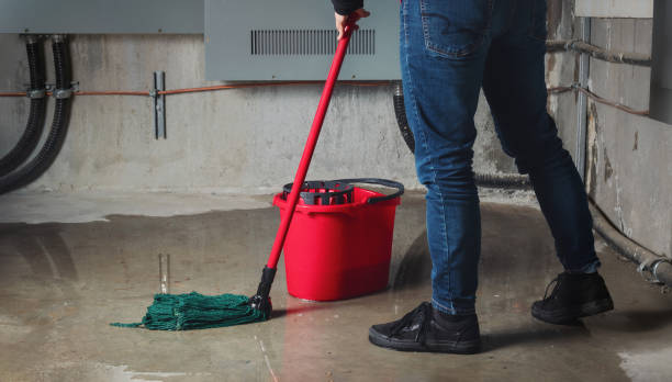 Best Water damage repair service  in Rushford, MN