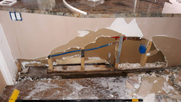 Trusted Rushford, MN Water damage restoration Experts
