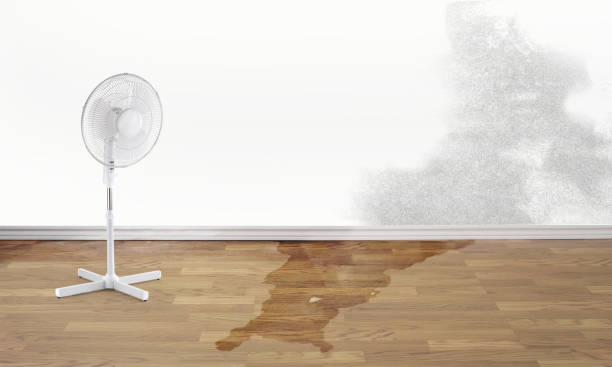 Best 24-hour water damage restoration  in Rushford, MN