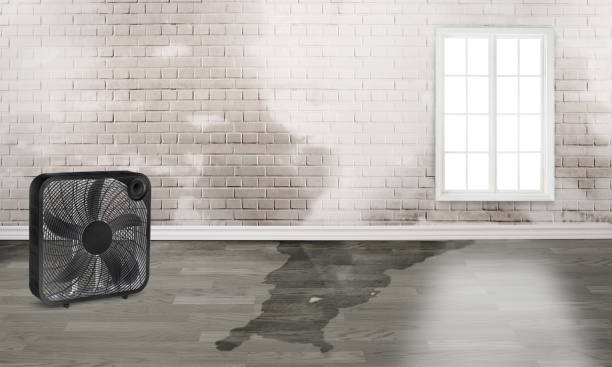 Water damage restoration insurance claims in Rushford, MN
