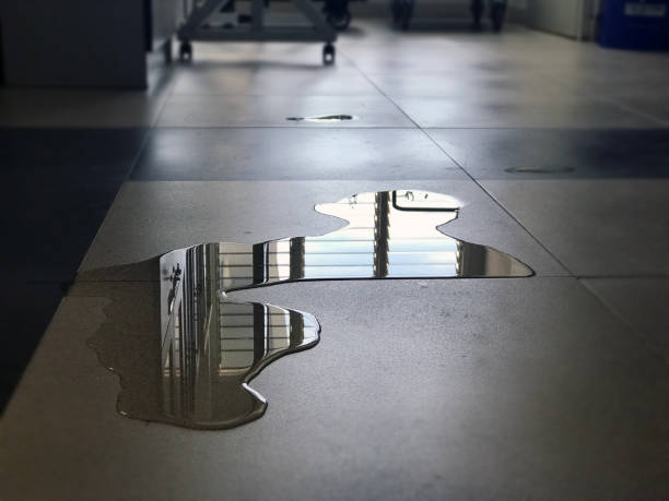 Best Carpet water damage restoration  in Rushford, MN