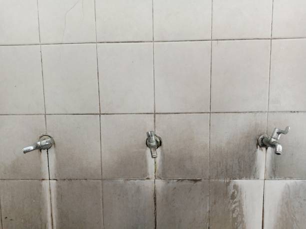 Best Emergency water damage restoration  in Rushford, MN