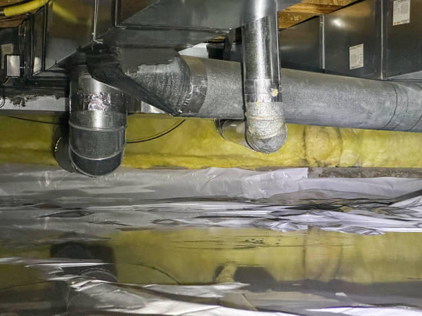  Rushford, MN Water damage restoration Pros