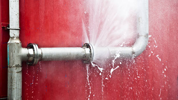 Best Flooded house restoration  in Rushford, MN